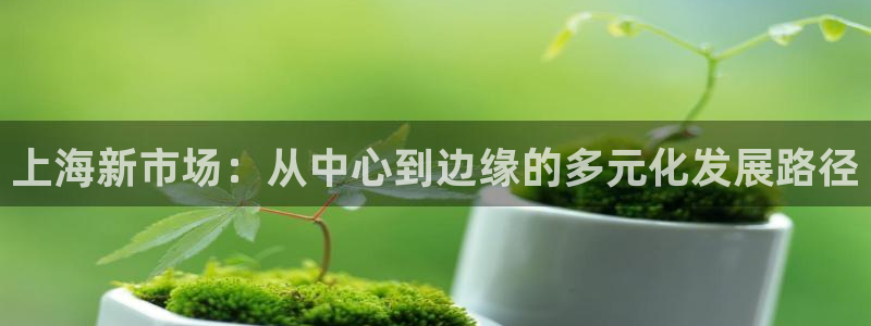 和记娱精湛h88285官网：上海新市场：从中心到边缘的多元化