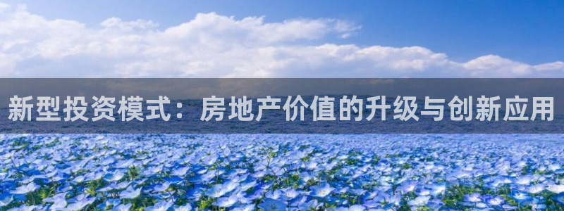 缅甸和记平台官网：新型投资模式：房地产价值的升级与创新应用