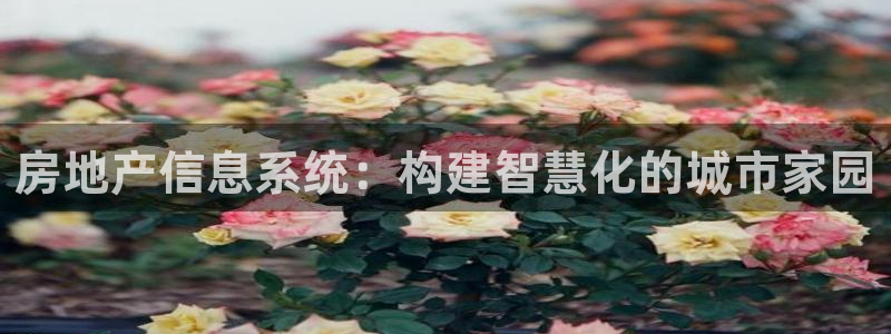 和记娱哪个位置h88285官网