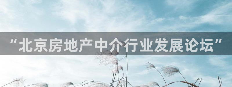 和记门店官网：“北京房地产中介行业发展论坛”