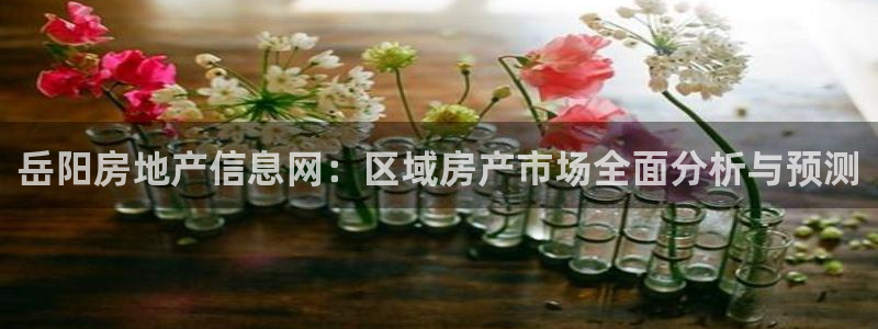 和记官网客服app：岳阳房地产信息网：区域房产市场全面分析与