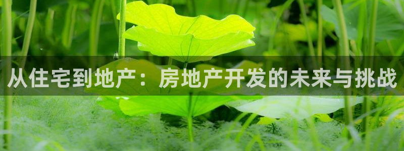 胡和记面官网：从住宅到地产：房地产开发的未来与挑战