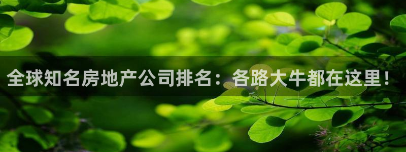 和记app官网：全球知名房地产公司排名：各路大牛都在这里！