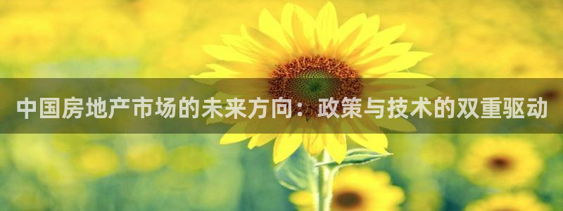 和记hgc官网：中国房地产市场的未来方向：政策与技术的双重驱