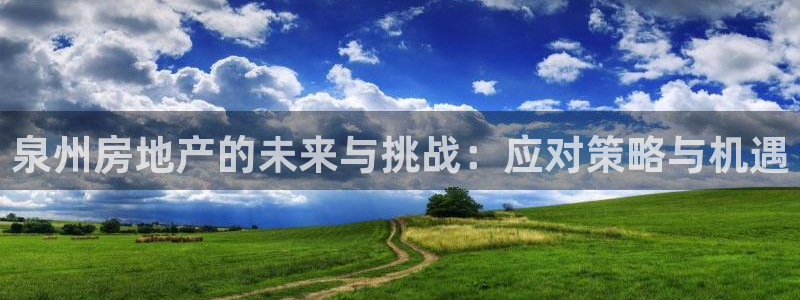和黄记官网：泉州房地产的未来与挑战：应对策略与机遇