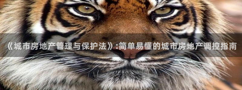 成都和记黄埔官网：《城市房地产管理与保护法》:简单易懂的城市