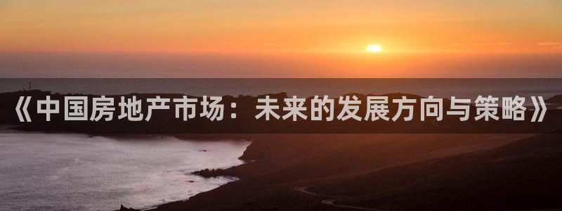 胡和记面官网：《中国房地产市场：未来的发展方向与策略》