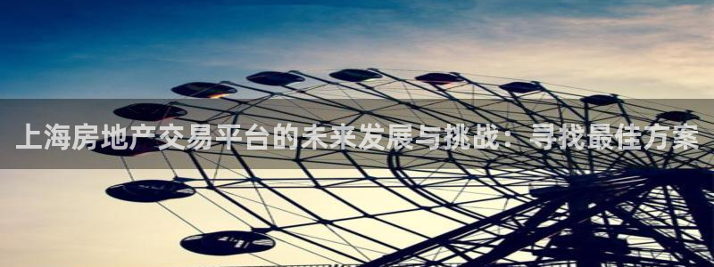 和记官网娱乐场：上海房地产交易平台的未来发展与挑战：寻找最佳