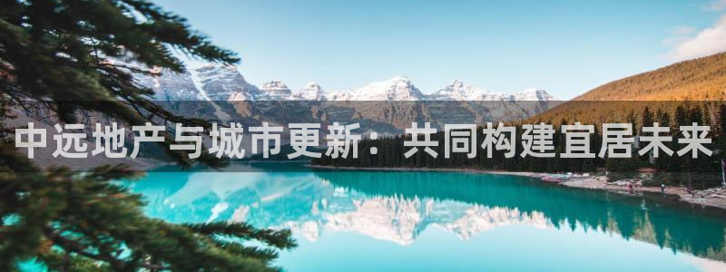 和记官网客户端：中远地产与城市更新：共同构建宜居未来