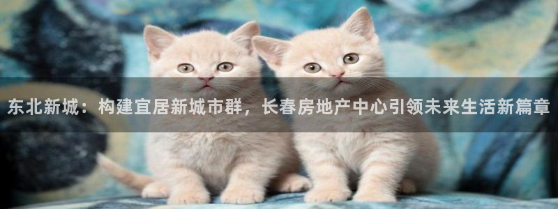 和记茶餐厅官网：东北新城：构建宜居新城市群，长春房地产中心引