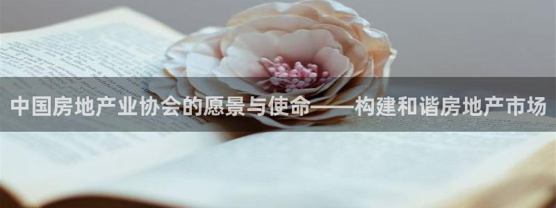 和记怡情博娱官网：中国房地产业协会的愿景与使命——构建和谐房