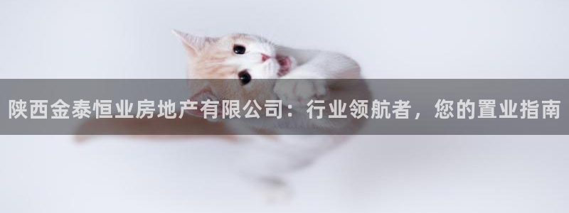 和记官网加盟：陕西金泰恒业房地产有限公司：行业领航者，您的置