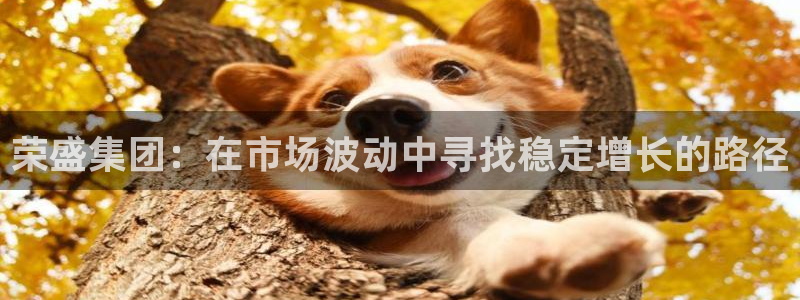 和记网开户官网：荣盛集团：在市场波动中寻找稳定增长的路径