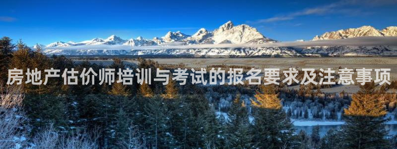 胡和记官网：房地产估价师培训与考试的报名要求及注意事项