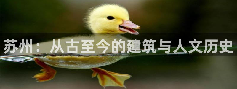 和记官网平台入口：苏州：从古至今的建筑与人文历史