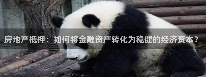 和记娱乐网官网：房地产抵押：如何将金融资产转化为稳健的经济资