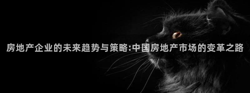 毛记和意冒菜官网加盟：房地产企业的未来趋势与策略:中国房地产