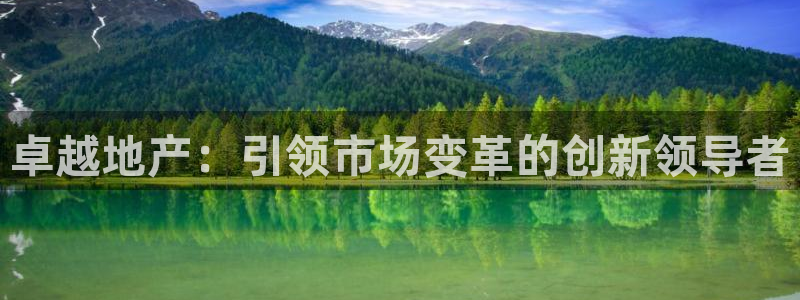 和记官网充值：卓越地产：引领市场变革的创新领导者