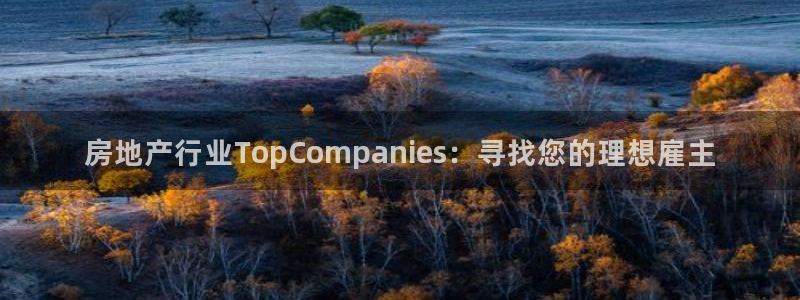 和记 官网：房地产行业TopCompanies：寻找您的理想
