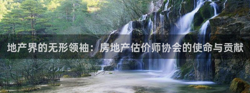 和记娱乐h88官网：地产界的无形领袖：房地产估价师协会的使命