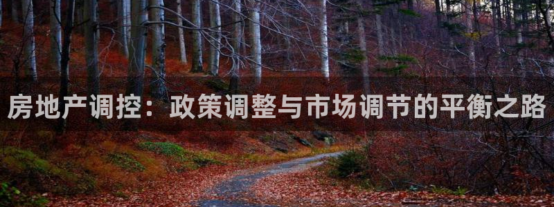和记官网登陆：房地产调控：政策调整与市场调节的平衡之路