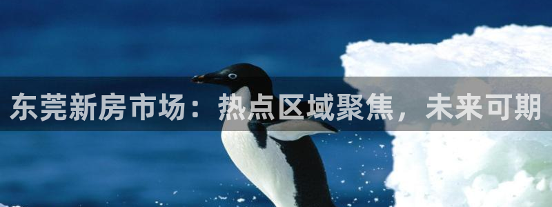 和记卡官网：东莞新房市场：热点区域聚焦，未来可期
