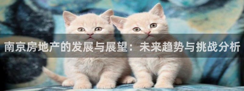 和记娱乐平台官网：南京房地产的发展与展望：未来趋势与挑战分析