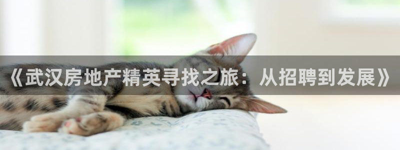 和记娱解答h88285官网：《武汉房地产精英寻找之旅：从招聘