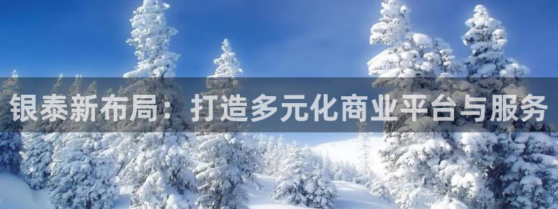 和记怡情官网：银泰新布局：打造多元化商业平台与服务