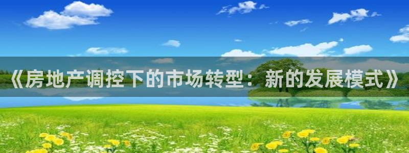 和记澳门官网：《房地产调控下的市场转型：新的发展模式》
