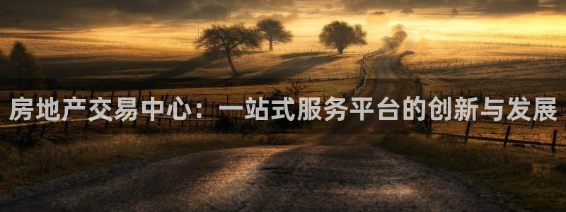 3和记电讯官网：房地产交易中心：一站式服务平台的创新与发展