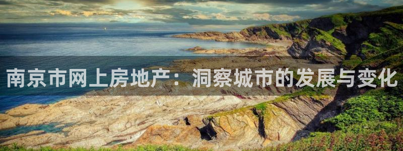 和记黄埔官网攻略：南京市网上房地产：洞察城市的发展与变化