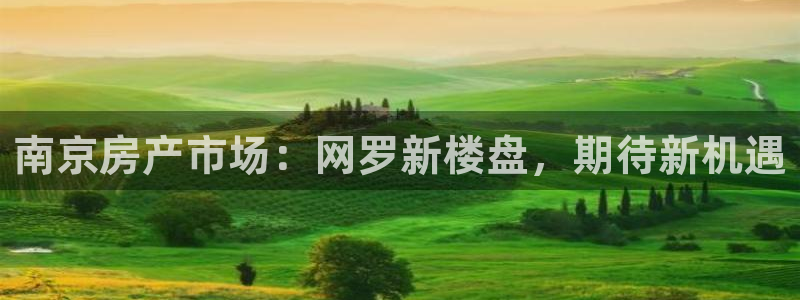 和记黄埔官网：南京房产市场：网罗新楼盘，期待新机遇