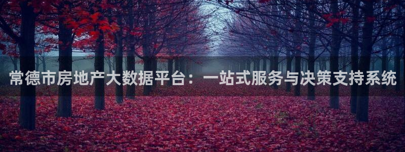 和记官网手机：常德市房地产大数据平台：一站式服务与决策支持系