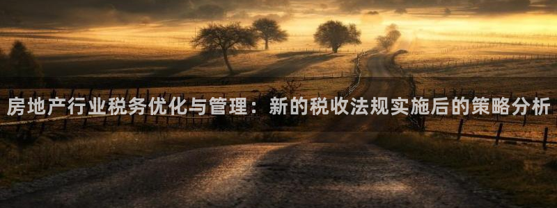 菲律宾和记官网：房地产行业税务优化与管理：新的税收法规实施后