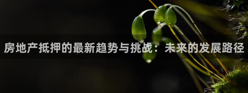 和行记义工网官网：房地产抵押的最新趋势与挑战：未来的发展路径