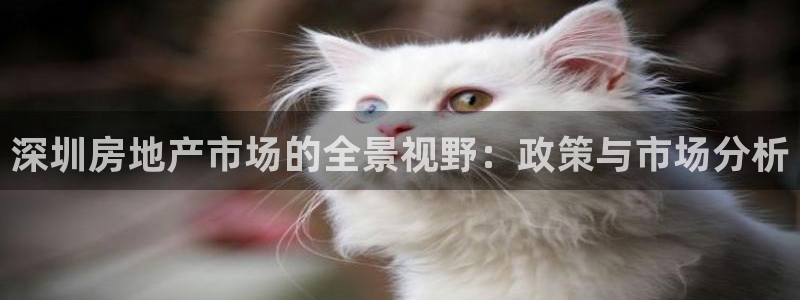 和记官网手机新版app下载：深圳房地产市场的全景视野：政策与