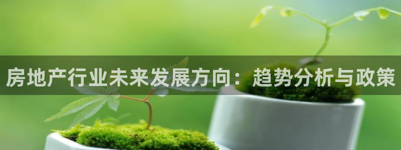 和记官网进入：房地产行业未来发展方向：趋势分析与政策