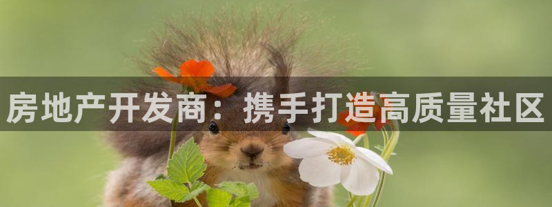 和记官网入口：房地产开发商：携手打造高质量社区