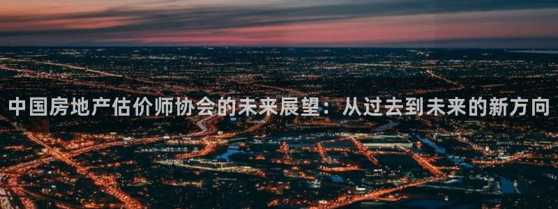 广州和德记官网：中国房地产估价师协会的未来展望：从过去到未来