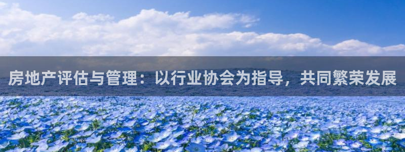和记黄埔上海官网：房地产评估与管理：以行业协会为指导，共同繁