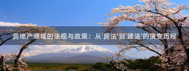 和记混凝土官网：房地产领域的法规与政策：从\'房法\'到\'