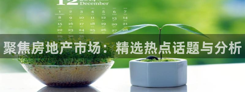 和记官网app：聚焦房地产市场：精选热点话题与分析