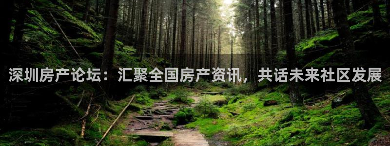 香港和记隆官网：深圳房产论坛：汇聚全国房产资讯，共话未来社区