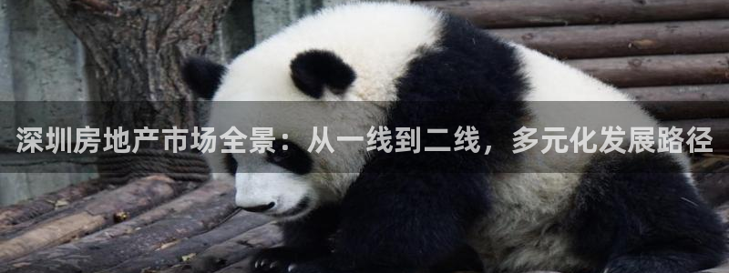 和记电信官网：深圳房地产市场全景：从一线到二线，多元化发展路