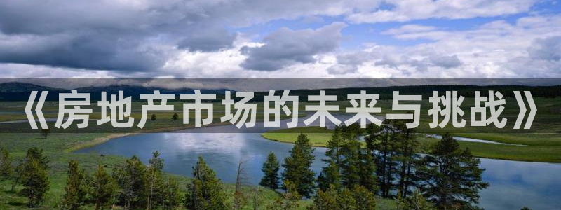 和记娱乐app官网：《房地产市场的未来与挑战》