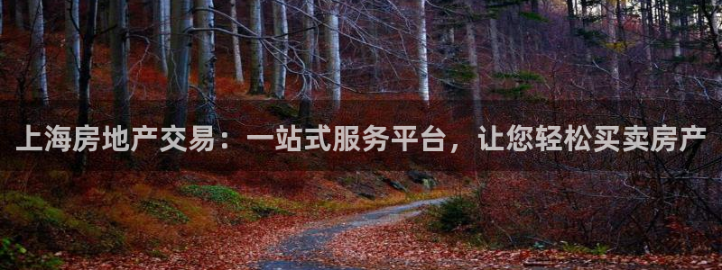 和记娱乐唯一官网：上海房地产交易：一站式服务平台，让您轻松买