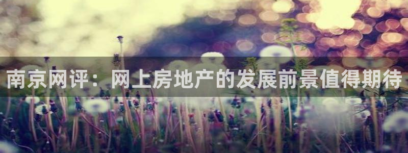 和记官网登录：南京网评：网上房地产的发展前景值得期待