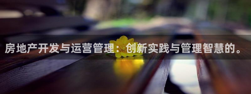 和记黄埔上海官网：房地产开发与运营管理：创新实践与管理智慧的