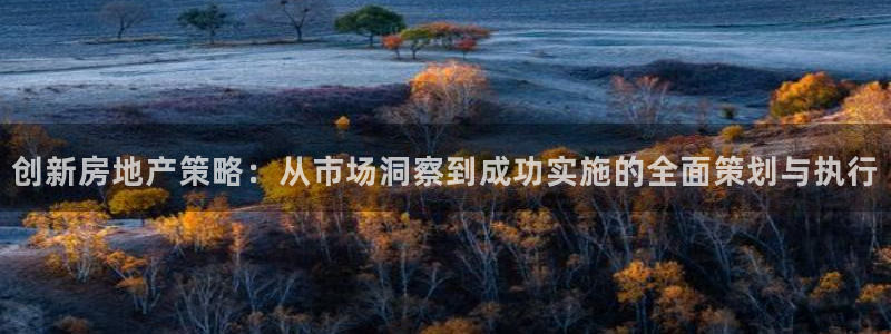 和记国际平台官网：创新房地产策略：从市场洞察到成功实施的全面